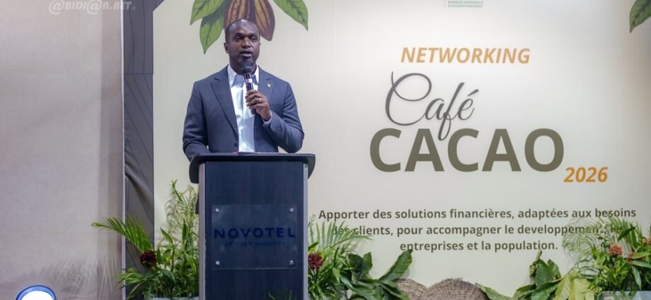 La BNI est la banque nationale d'investissement de Côte d'Ivoire