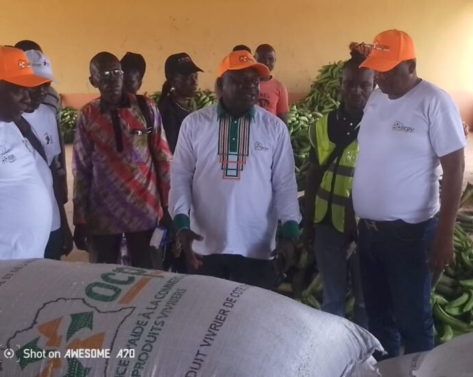 Commercialisation des produits vivriers : Adou Bernard réaffirme l’engagement de l’état pour la souveraineté alimentaire 3 photo Basre 1