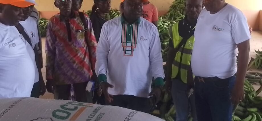 Commercialisation des produits vivriers : Adou Bernard réaffirme l’engagement de l’état pour la souveraineté alimentaire 1 photo Basre 1