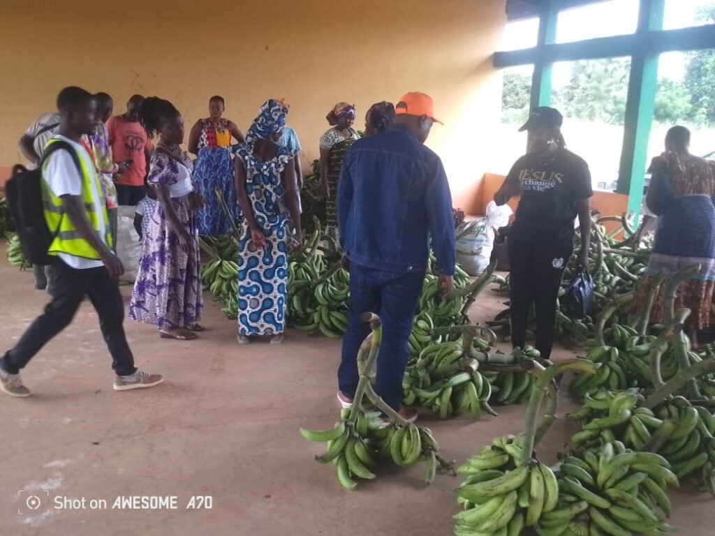 Commercialisation des produits vivriers : Adou Bernard réaffirme l’engagement de l’état pour la souveraineté alimentaire 3 photo Basre 2