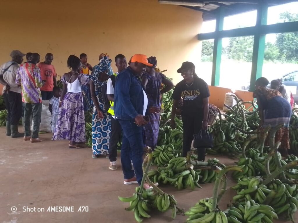 Commercialisation des produits vivriers : Adou Bernard réaffirme l’engagement de l’état pour la souveraineté alimentaire 4 photo Basre 5
