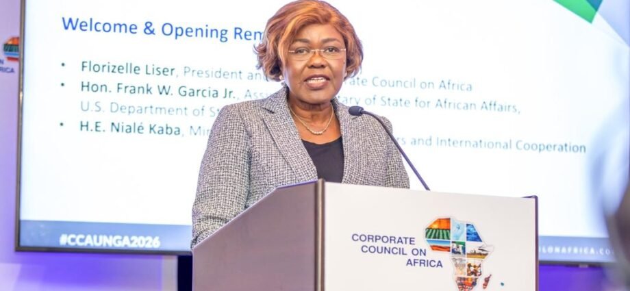 Côte d’Ivoire–États-Unis : Nialé Kaba veut accélérer les investissements américains 1 photo Niale 1