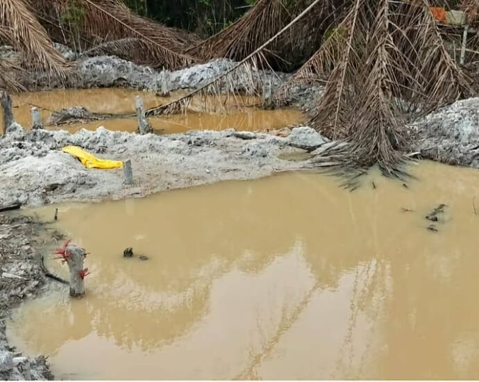 Tabou : un site d’orpaillage illégal démantelé à Olodio 9 photo Olodio 2