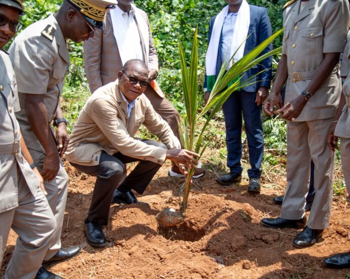 Journée mondiale de la noix de coco : Bruno Koné mise sur la transformation locale et l’amélioration des revenus des producteurs 7 photo coco 1